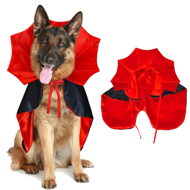 Transform Your Pet into Halloween's Star Attraction!