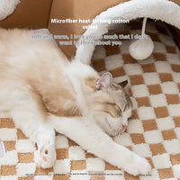 Cat Tunnel Play