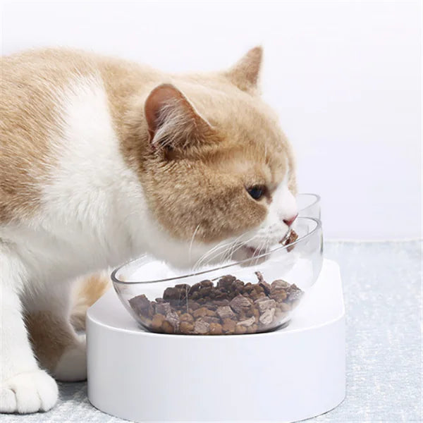 Adjustable Cat Bowl with Dual Bowls for Feeding