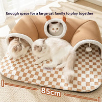 Cat Tunnel Play