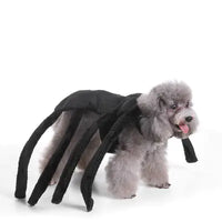 Halloween and Christmas Dog Outfits